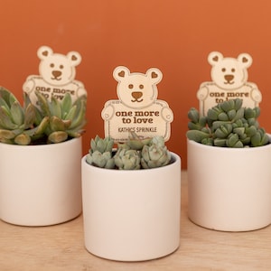 Baby Sprinkle One More to Love Bear Succulent Plant Tag for Baby Shower,Bulk Shower Gift for Guest,Bear Party Favor for Baby Shower Sprinkle