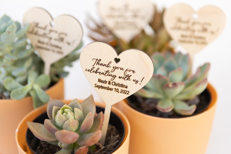May include: Succulent plants in small orange pots with wooden heart-shaped tags that say "Thank you for celebrating with us!"  Nezir & Christina September 10, 2022.