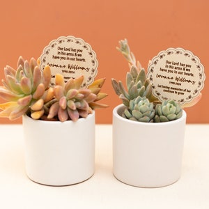 May include: Two small succulent plants in white ceramic pots. Each plant has a decorative tag with the text "Our Lord has you in his arms & we have you in our hearts. [Name] 1990-2024". The succulents have green, pink, and yellow leaves.