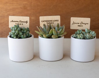 Personalized Wedding Place Cards, Succulent Wedding Name Cards, Wedding Seating Chart Name Plant Sticks,Wooden Place Cards for Guest Seating