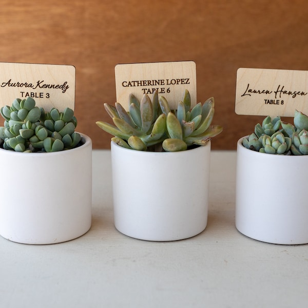 Personalized Wedding Place Cards, Succulent Wedding Name Cards, Wedding Seating Chart Name Plant Sticks,Wooden Place Cards for Guest Seating