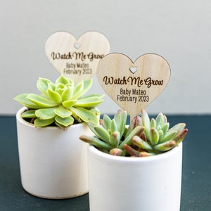 Watch Me Grow Heart Plant Stick,Baby Shower Plant Tags,Custom Thank You Gifts,Watch Me Grow Baby Shower Favors, Personalized Party Favor Tag