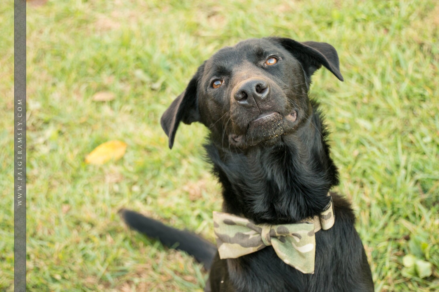 Multi Cam Cordura avec Noeud | Point 28