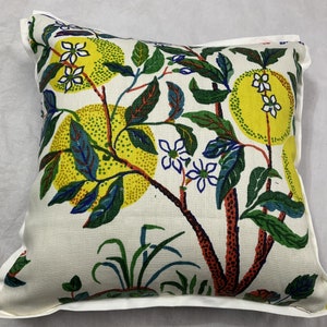 Citrus Garden Outdoor Schumacher pillow covers 16x16 One side Schumacher fabric the other side sunbrella fabric with white borders.