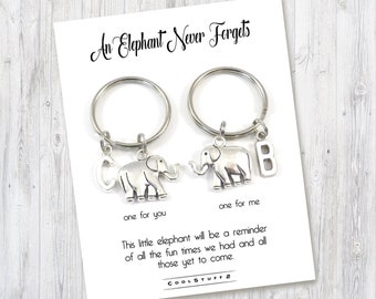 Elephant Keychain Set for Best Friends, Couples Set, Best Friend Gift, An Elephant Never Forgets Elephant Keychain