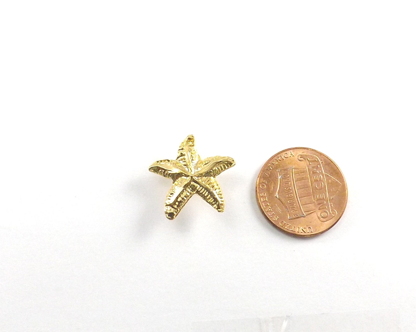 Starfish Pin Teacher Gift Starfish Story Make a Difference Etsy