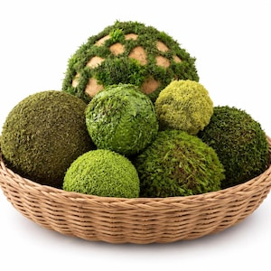 May include: A shallow, round, light brown woven wicker basket filled with several spherical decorative balls covered in various shades of green moss and textured foliage, including one large sphere with a visible tan grid pattern.