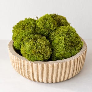 May include: A round, light-coloured wooden bowl with a vertically ribbed exterior texture, filled with several large, vibrant green moss clusters. The moss has a dense, branching, and intricate texture, contrasting with the smooth, carved wood.