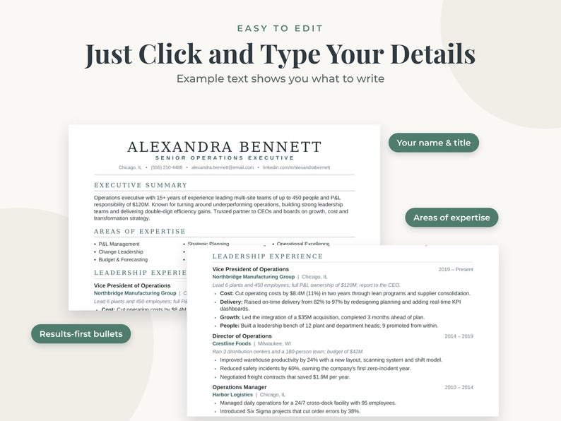 Executive Resume Word & Google Docs, CEO Director CV Template With ...