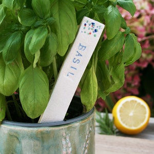 May include: A rectangular ceramic plant marker, inscribed with the word "BASIL" in blue, is placed in a pot of basil. The marker has colourful dots at the top. The pot is green. A lemon is visible in the background.
