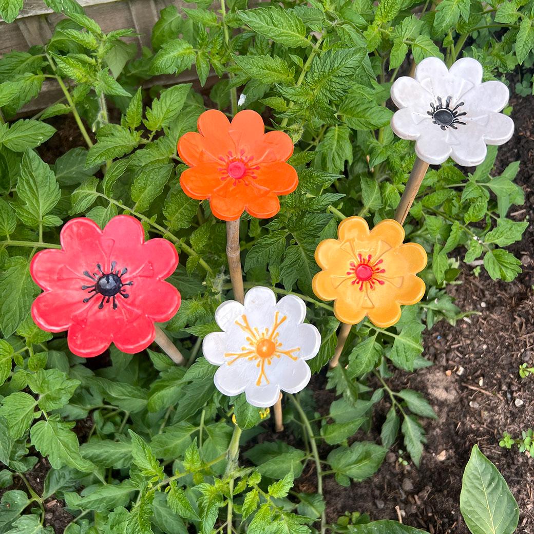 フラワー・ガーデニング Botanize SEN M size type B フラワー・ガーデニング Botanize SEN M size type B New Varieties