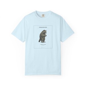 Fifteen Prior Raccoon T-Shirt, Formation Humor, Comfort Colors 1717