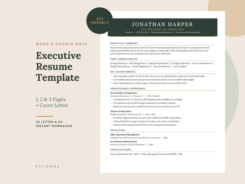 Executive Resume Template Word & Google Docs, ATS Friendly 2 Page ...