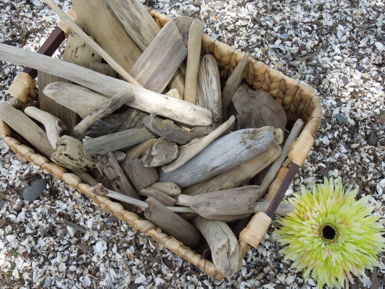 Large Bulk Driftwood 50 Driftwood Pieces Approximately Etsy