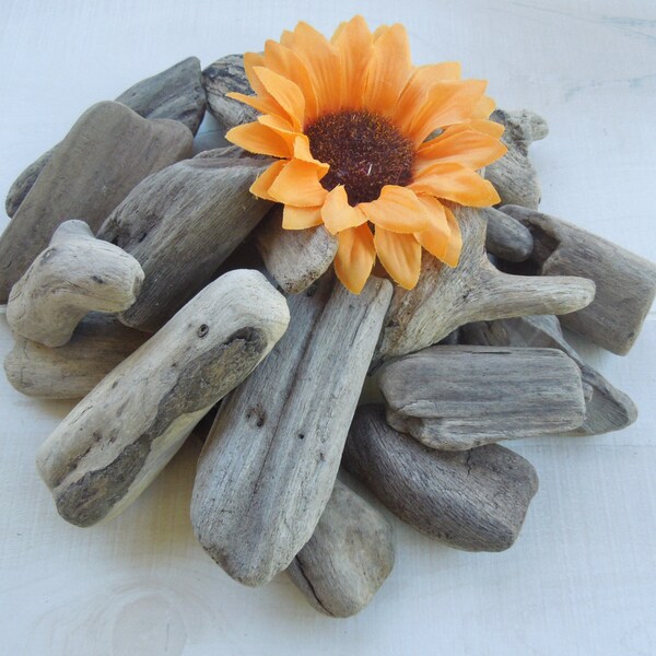 20 Unique Chunky Driftwood Pieces, Supplies for crafts and projects, beach wedding decor, Christmas crafts, wreaths, display pieces L214V