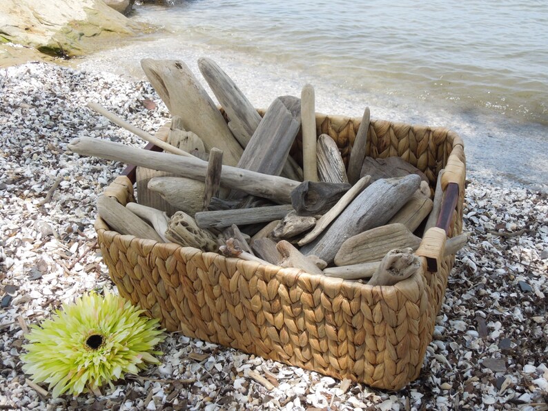 Large Bulk Driftwood 50 Driftwood Pieces Approximately Etsy