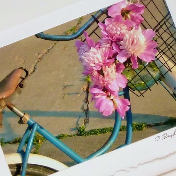 Schwinn Bike Basket Etsy