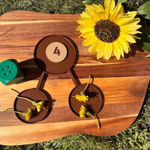 May include: A brown plastic counting tool with three circular trays connected by arms, featuring a beige circular insert with the number 4. A green six-sided die sits to the left, and yellow dandelion flowers are placed in the two lower trays.