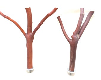 Manzanita Bird Perches All-Natural Oven Cured Set of 2 * Perfect