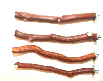 Manzanita Bird Perches  Single Branch Set of 4 with Hardware * Sweet Deal