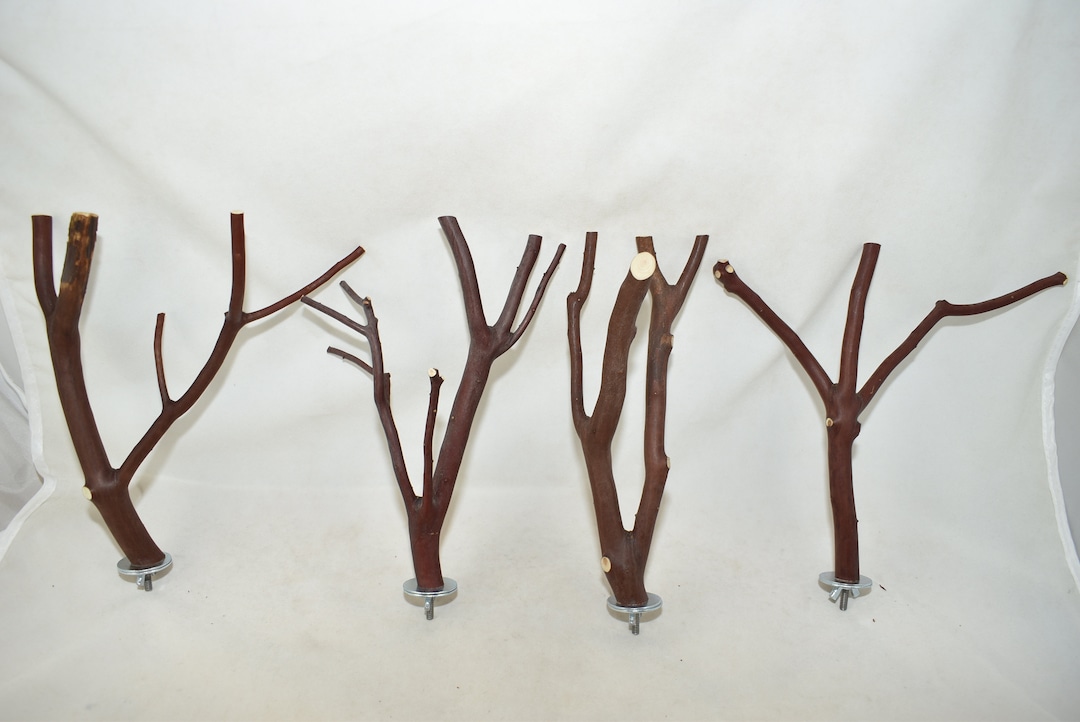 Manzanita Bird Perches Multibranch Set of 4 With Hardware Etsy