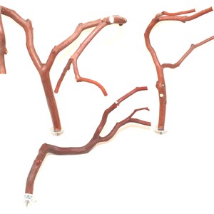 How to Make Manzanita Bird Perches: Easy DIY Guide for Beginners