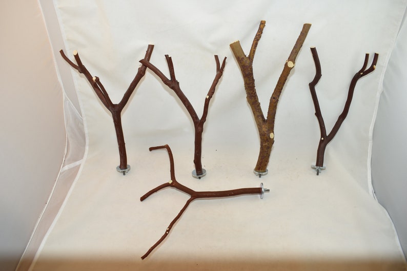 Manzanita Bird Perches Multibranch Set of FIVE with Hardware Etsy