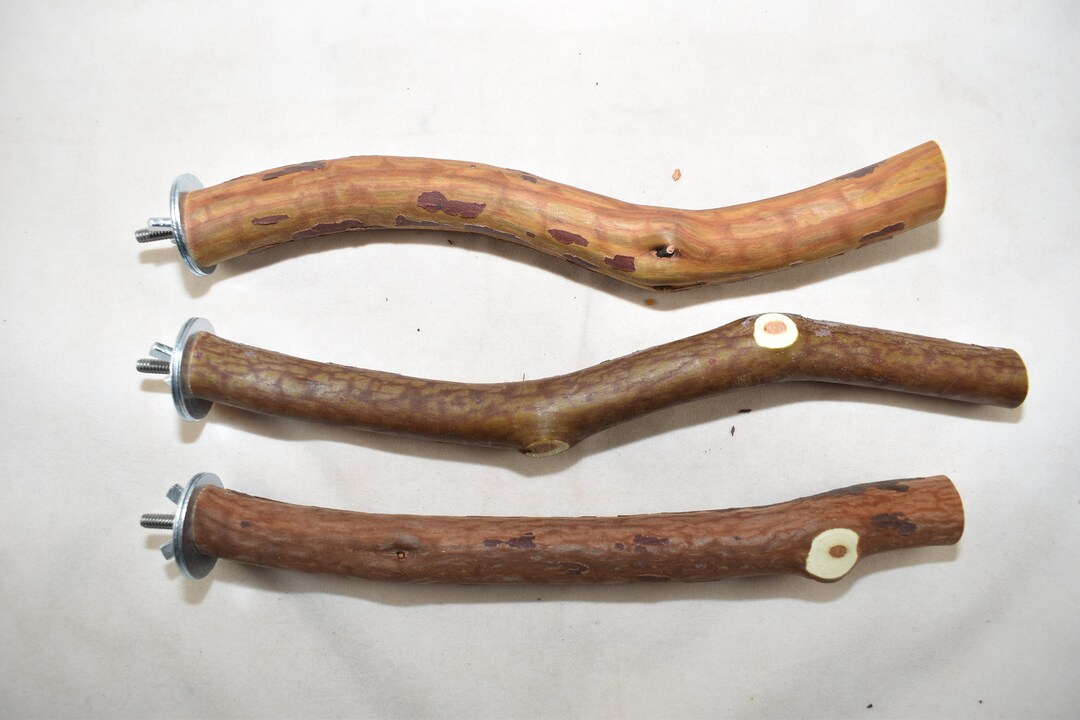 Manzanita Bird Perches Single Branch Set of Three With Etsy