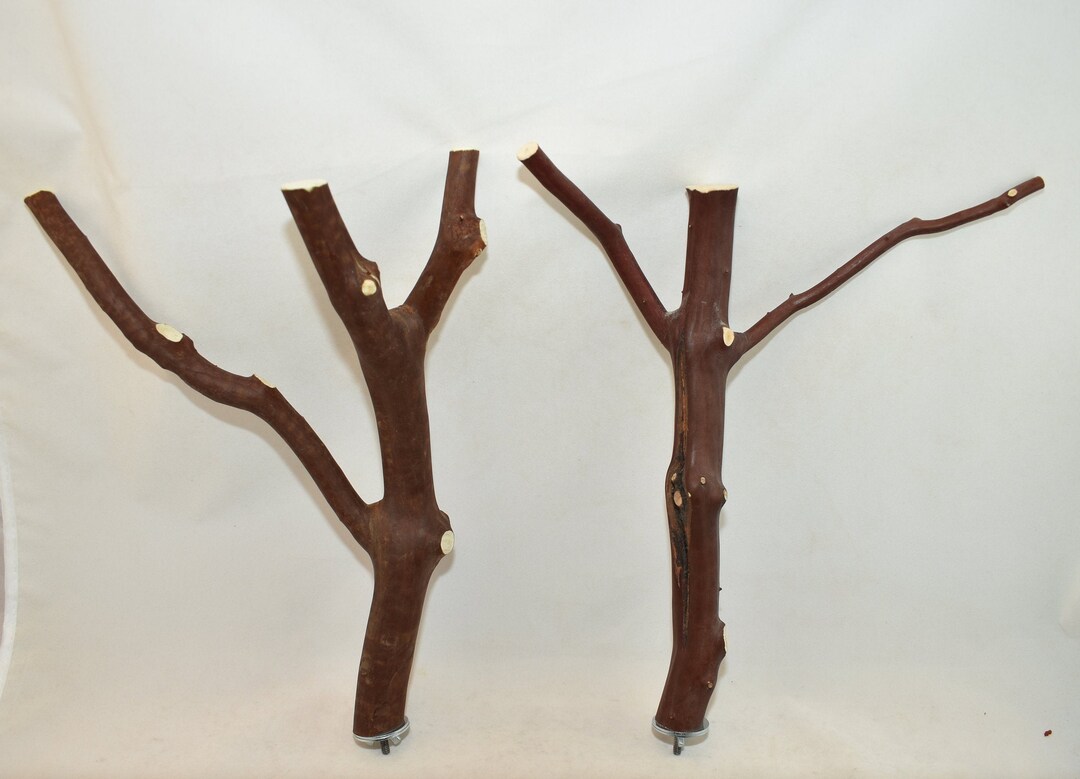 Manzanita Bird Perches Multibranch Set of Two With Hardware Etsy