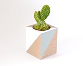 Woody planter - white & Mint - for cacti and Succulents