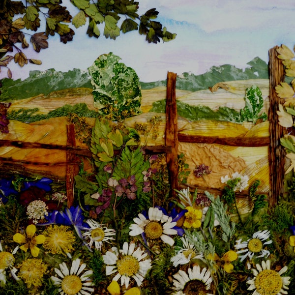 Daisies - Original Pressed Flower Art
