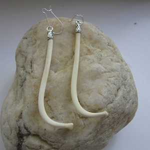 Raccoon Penis Bone Earrings Dangle The Love Bone Boho Jewelry Burning Man Baculum Animal Bone Jewelry