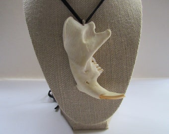 Beaver Jawbone Pendant Buckskin Leather Necklace Animal Bone Jewelry Statement Necklace North American ( Castor Canadenis)