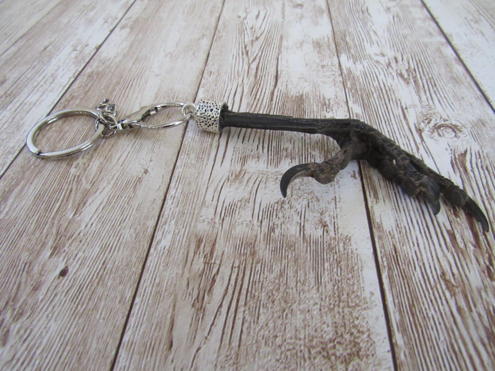 Talosn Key Chain Real Crow Foot/talon Claw Keychain Bird Feet Animal Bone Jewelry - Etsy
