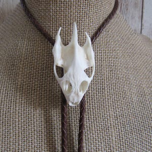 Real Turtle Skull Bolo Tie Necklace Wedding Gothic Bone Necktie Jewelry N5319
