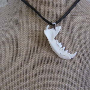 Nerzkieferknochen-Halskette, Stammes-Tierknochenschmuck (Neovison Vision)