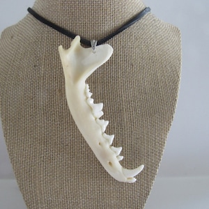 Fox Jawbone Pendant Buckskin Leather Necklace Statement Animal Bone Jewelry  (Vulpes vulpes fulva)