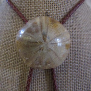 Sand Dollar Fossilized Bolo Tie Necklace Wedding Beach Necktie Jewelry