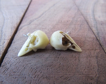 Crow Skull Earrings Bird Skull Goth Raven Dark Jewelry Resin Stud