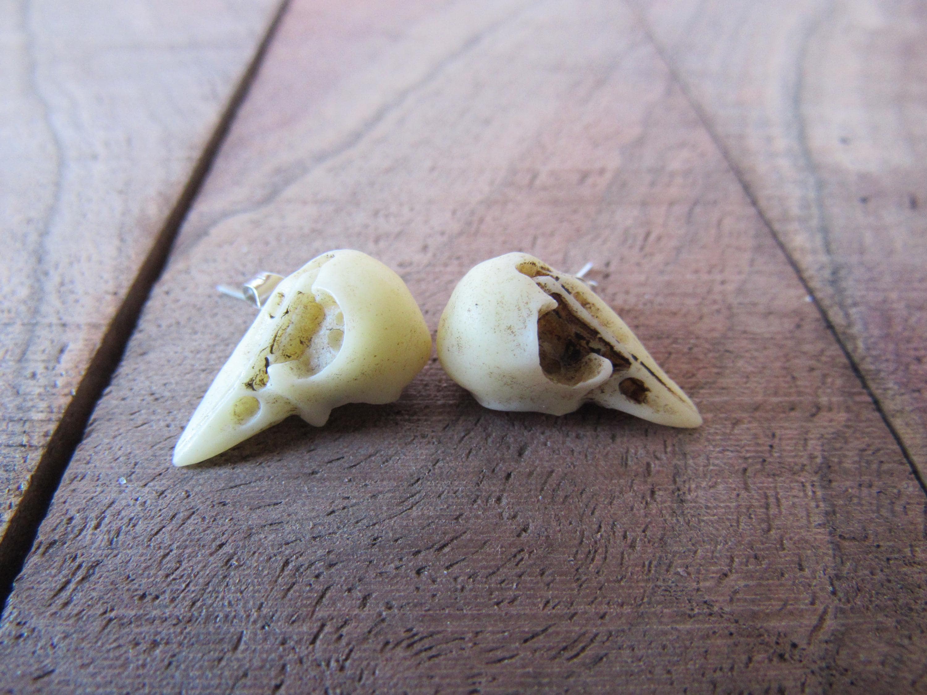 Boucles D'oreilles Crâne Corbeau En Résine - Fait Main - Style Gothique Halloween