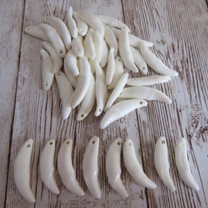 5 Fox Teeth Fangs Canine Animal Teeth Pre-drilled Jewelry Beads Craft Supplies Projects Taxidermy (Vulpes vulpes fulva)