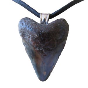 Megalodon Tooth Pendant Shark Tooth Necklace Fossilized Bone Jewelry Natural Carcharocles N5014