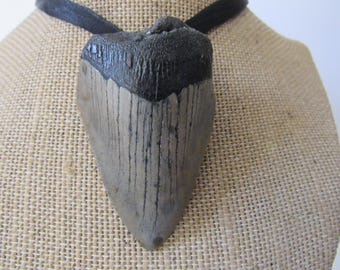 メガロドンの歯ペンダント サメの歯ネックレス 化石骨ジュエリー 天然