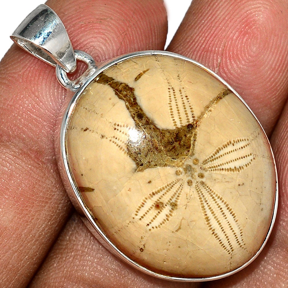 Fossil Sea Urchin Pendant Natural Fossil Necklace 925 Sterling