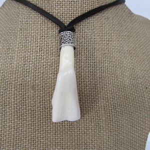 Buffalo Tooth Pendant Animal Tooth Necklace Tribal Spirit