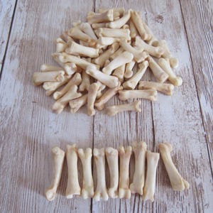 10 ossa metatarsali di dita/piede di coyote, materiali per artigianato, perline per pipe, gioielli tribali, animali