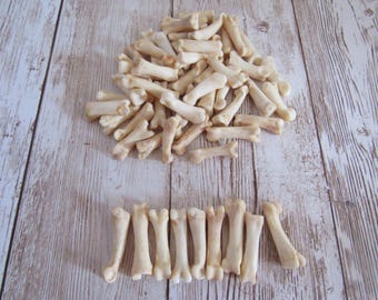 10 Coyote Toe/Foot Bone Metatarsals Bones Craft Supplies Hairpipe Beads Tribal Jewelry Animal