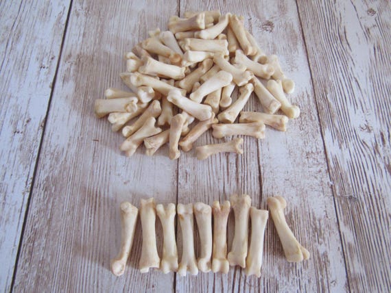 10 Coyote Toe/Foot Bone Metatarsals Bones Craft Supplies Hairpipe Beads Tribal Jewelry Animal