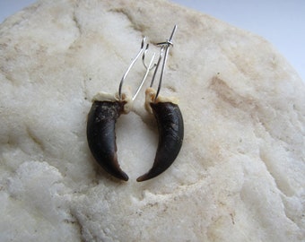 Coyote Claw Earrings Dangle Animal Bone Jewelry Bone Earrings