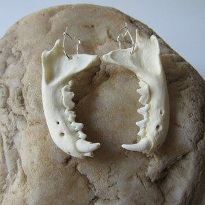 Mink Jawbone Earrings Spirit Jewelry Animal Bone Teeth Jewelry (Neovison Vison)